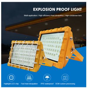 Factories LED Explosion Proof Lighting Highlight LED Beads