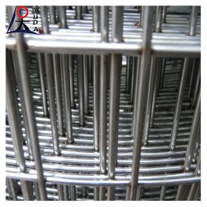 Galvanized Welded Wire Mesh Fence Roll 2x2 Fine Wire Diameter