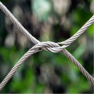 Flexible Wire Rope Mesh Netting For Aviary Animal Enclosures Zoo Mesh