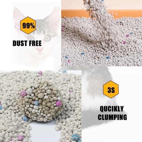 Customized Flavor Clumping Sand Cat Litter Colorful Bentonite Premium Cat Litter