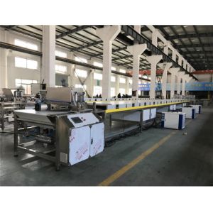 200kg/H Copeland Chocolate Chip Making Machine