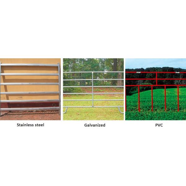 cattle panel fence2