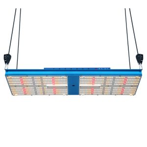 ETL LM301H Quantum Board