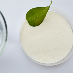 Quality Konjac Root Extract Coffee Pudding Milk Chocolate Glucomannan Food Additive for sale