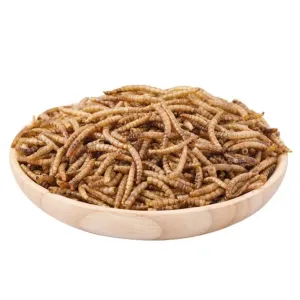 Mealworm yellow mealworm high protein bird turtle hamster special snack worm