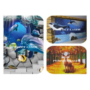 9600dpi Resolution Digital 5D Floor Ground Wall Inkjet Printer 11.6 Inch LCD