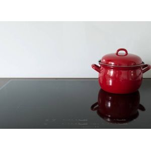 Sensor Control 9.5Kg Double Plate Induction Cooker