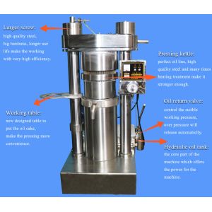 High Oil Yield Cold Press Coconut Oil Extracting Machine Sesame Oil Presser With