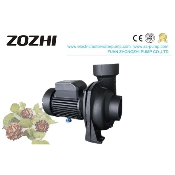 NFM Series Centrifugal Water Pump 1.0hp 1.5hp 2.0hp 3.0hp For Gardening
