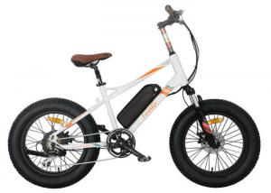 China Kids Full Suspension Fat Tire Electric Bike Lithium Battery 7 Speed Gear on sale