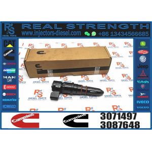 High Quality Common rail injector 3071497 3064457 3071494 for cummins NT855 G4