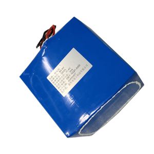 62.9V 32Ah Rechargeable Lithium Battery Packs UN38.3
