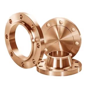 C70600 Copper Nickel Cuni90/10 Flange Copper Nickel Alloy Flange