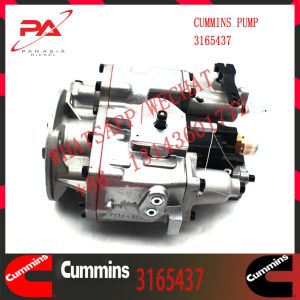 China Cummins Diesel NTA855 Engine Fuel Injection Pump 3165437 3165468 3165621 on sale