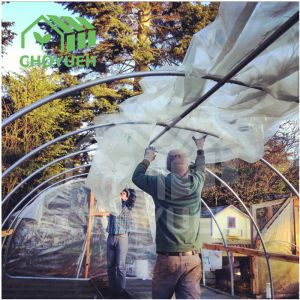 Single Span PE Film Tunnel Greenhouse With Galvanized Steel Frame