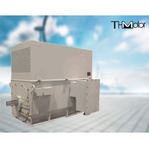 IP44 IP54 IP55 Flameproof Electric Motor