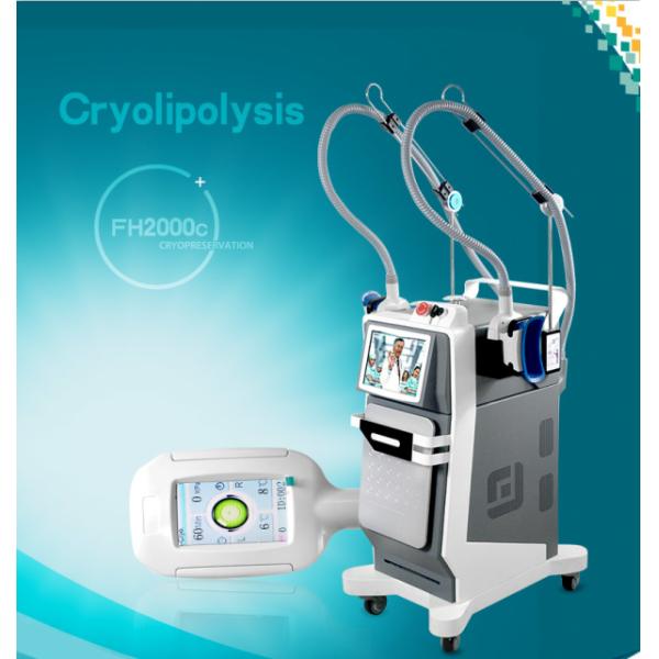 Anti Wrinkle Cryolipolysis Fat Freezing Machine Portable For Skin Smoothing
