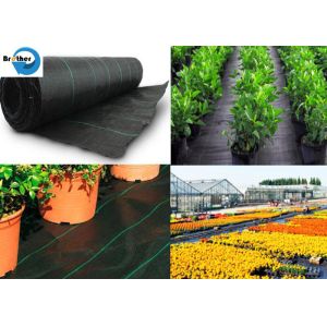 Agriculture Polypropylene/Polyethylene Woven Geotextile Fabric for Ground Cover