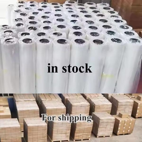 DTF film Compatible With Most Fabrics White Ink Printing Film for Glossy/Matte Finish