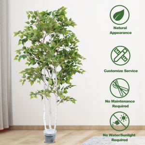 Ornamental Plant Artificial Radermachera Sinica Natural Greening For Home