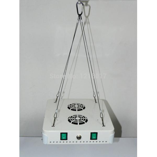 Buy CIDLY 2016 led 5w chip led grow light 80X5w with 2 switches for veg and bloom at wholesale prices