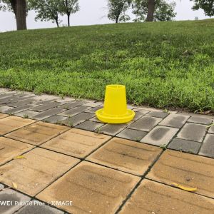 Durable Solution Farming Chicken Feed Bucket Automatic Feeding System