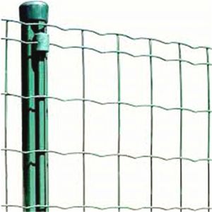 hot selling product cheaper Holland Welded Wire Mesh Fence /Euro fence