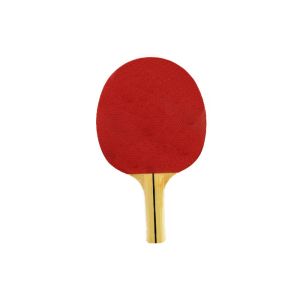 Family Beginner Table Tennis Bats Simple Standard Size Pimple Out Rubber Without