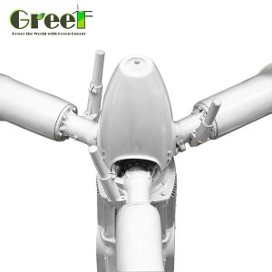 Quality 10kw 3 Phase Pitch Mechanism Wind Turbine Generator for sale