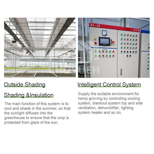 Wind Resistance Multi Span Plastic Film Tunnel Greenhouse With Ventilation System
