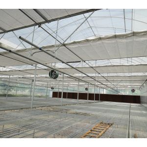 No Roof Vent Agricultural Greenhouse Vegetable Growing Single Span Greenhouse