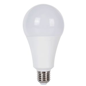 led i terior light bulbs,led bulb globe,c led bulb