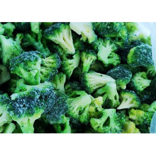 Buy Crop IQF Frozen Broccoli And Frozen Vegetables Quick Frozen Foods at wholesale prices