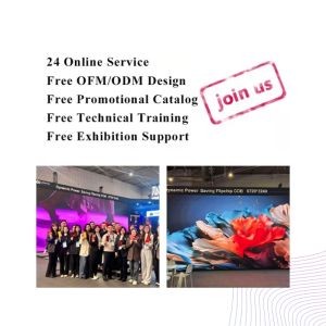 Streamlined Interactive Creative LED Display Screen Rental Display Waterproof