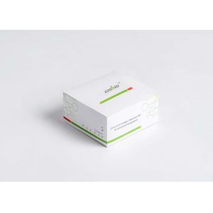 2019-NCoV Ag Rapid Test Immunochromatography Antigen Test Nasal Swab