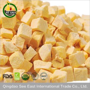 Halal instant food dehydrated vegetable freeze dried Pumpkin