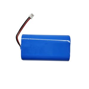 Standard Discharging 1C Lithium Ion Battery Pack Including LED Indicator and Max