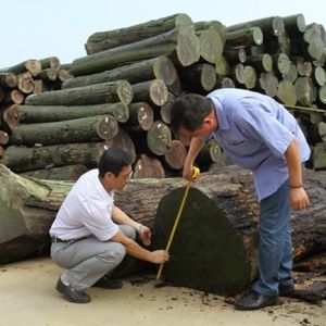 Customized Recomposed Wood Veneer Colored Cloud X2391 Irregular Texture 2500*640