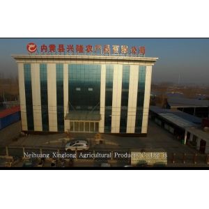 Dried Bullet Shaped Red Chili Hat With Intense Flavor