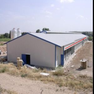 Quick Assembly Lightweight Steel Frame Chicken House Weather Resistant