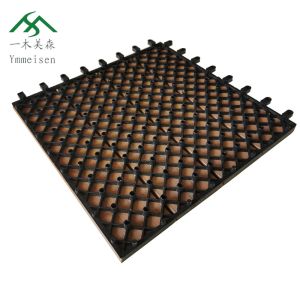 Water Proof Co Extrusion 300mmX300mm WPC DIY Decking
