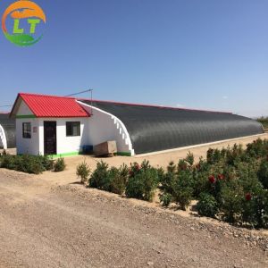 Single Layer Agricultural Tomato Greenhouse Optimal Ventilation Guaranteed