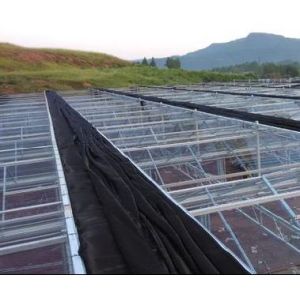 Good Light Transmission Glass Cover Venlo Greenhouse with Customization Option