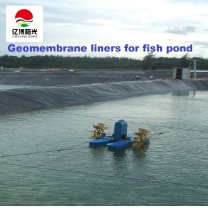 Waterproof HDPE Geomembrane Industrial Design Style for Aquaculture Fish Pond