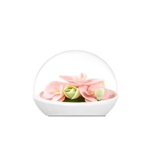 Ready To Ship In Stock Ceramic Candle Holders Fragrance Essential Oil In Custom