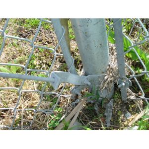 Hot dipped galvanized 9 gauge chain link wire mesh fence