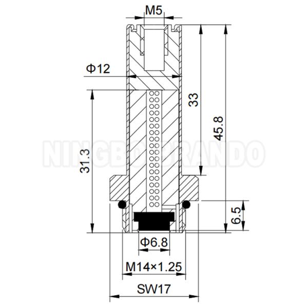 LPG CNG Reducer Regulator Solenoid Armature Plunger Tube And Core