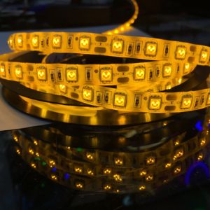 110v led strip lights white 6500K and warm white 3000K color changing IP65