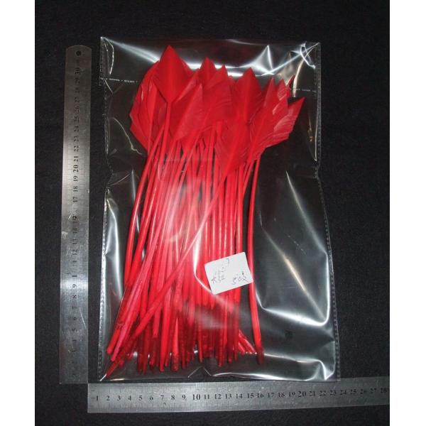 Dyed Arrow Head Striped Turkey Feather Quill with Silk Screen Printing