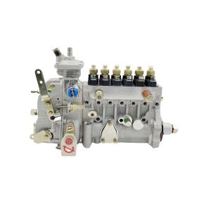 China Sinotruk HOWO 25t VG1095080190 Fuel Injection Pump for Diesel Engine with 6 Months Warranty on sale